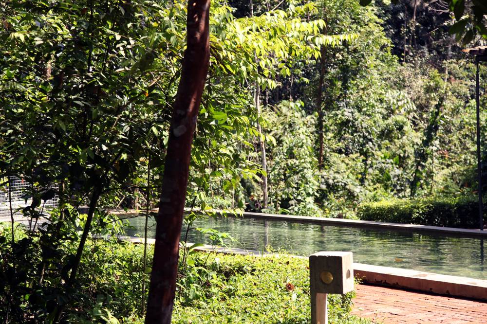 pool 1 at sekeping serendah